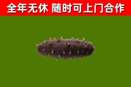那曲烟酒回收干海参.jpg